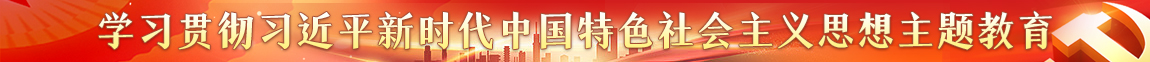 学习贯彻习近平新时代中国特色社会主义思想主题教育