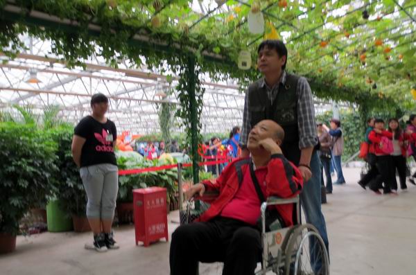 图为残疾人观赏植物美景