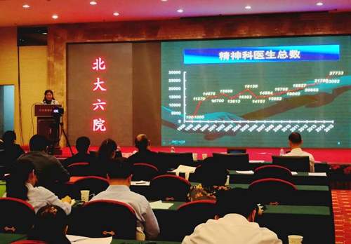 图为中国残联副主席、北京大学第六医院教授黄悦勤在会上发言