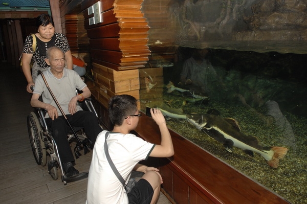 图为残疾人欣赏海洋鱼类