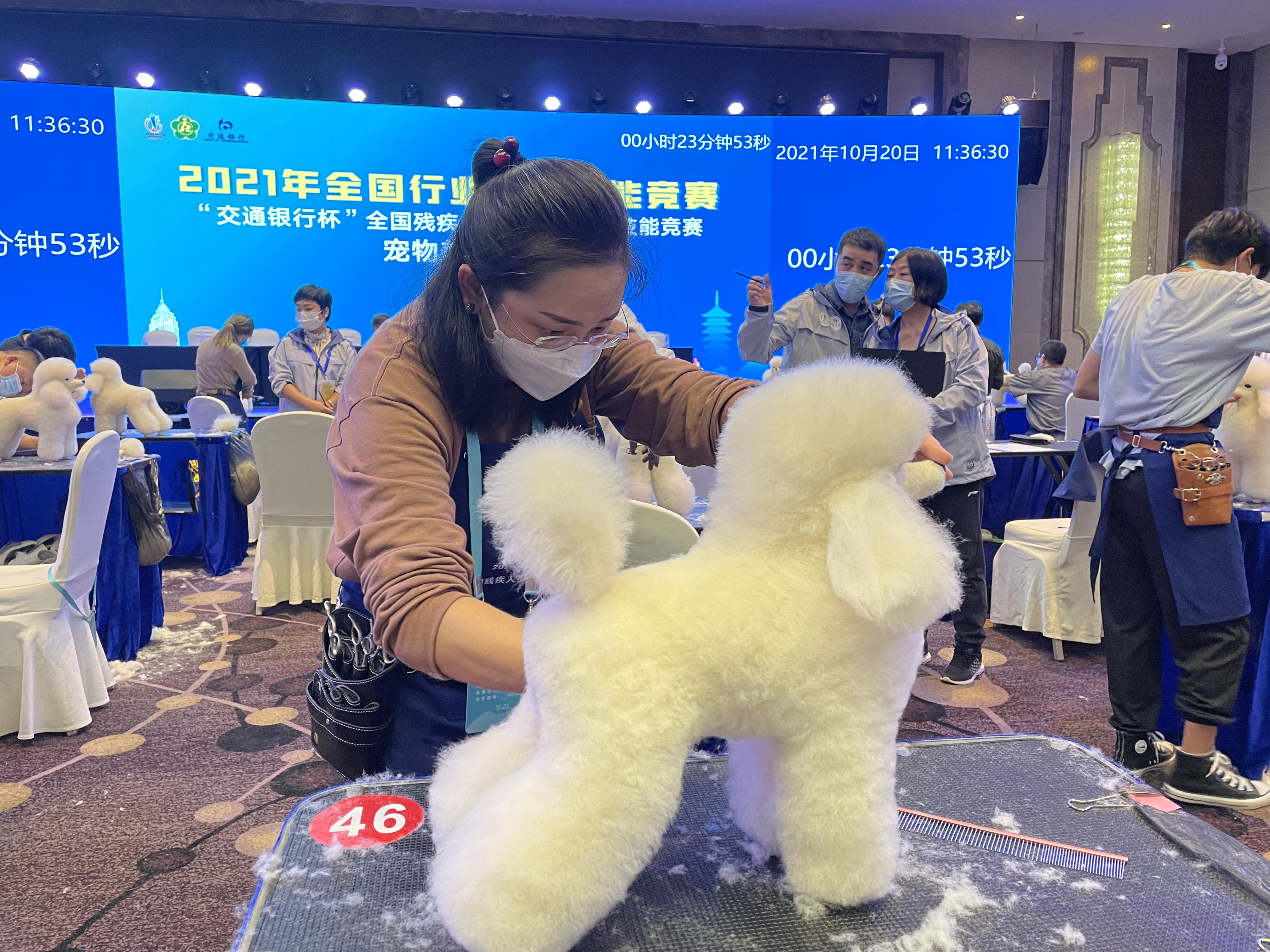 北京市残疾人联合会-北京代表队在全国残疾人岗位精英职业竞赛中取得好成绩
