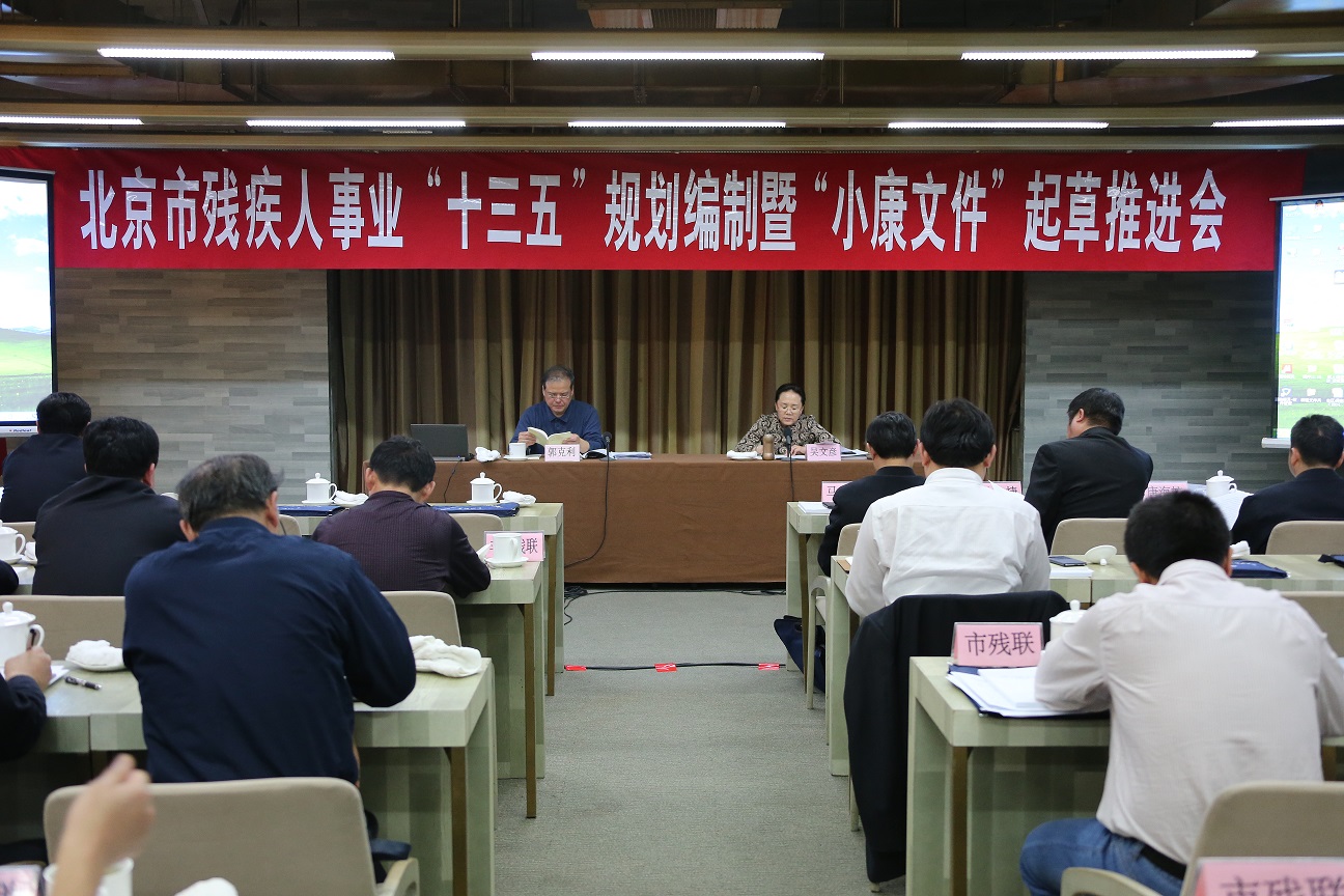 北京市残疾人联合会-市残联召开北京市残疾人事业“十三五”规划编制暨“小康文件”起草推进会