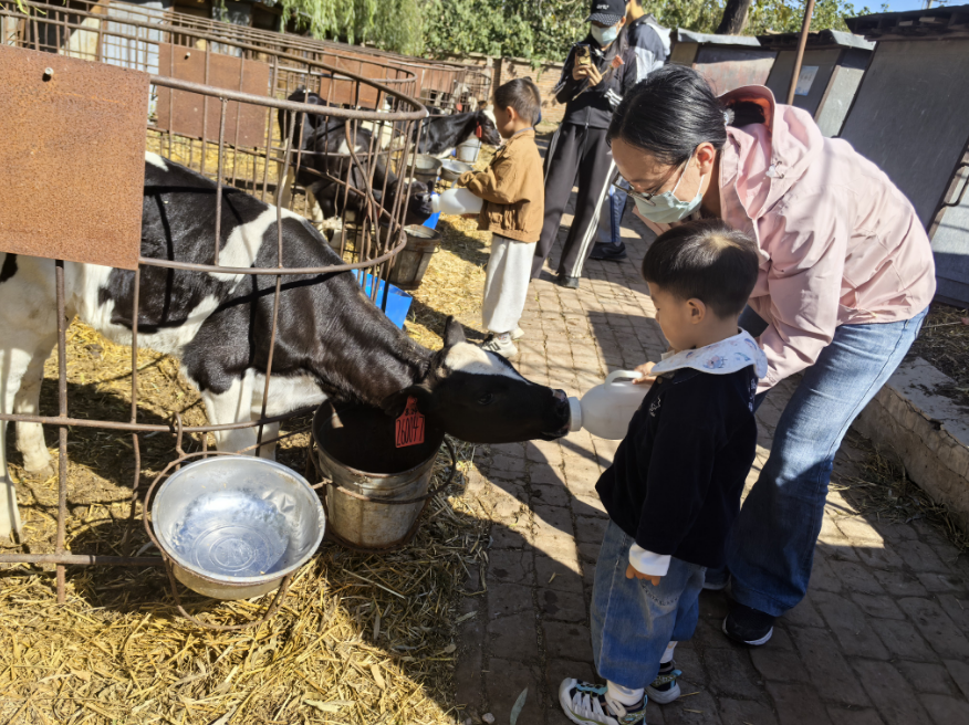 图为在训儿童在给小奶牛喂水互动