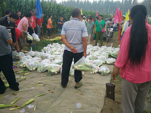 北京市残疾人联合会-大兴区庞各庄镇定福庄温馨家园组织残疾人户外活动