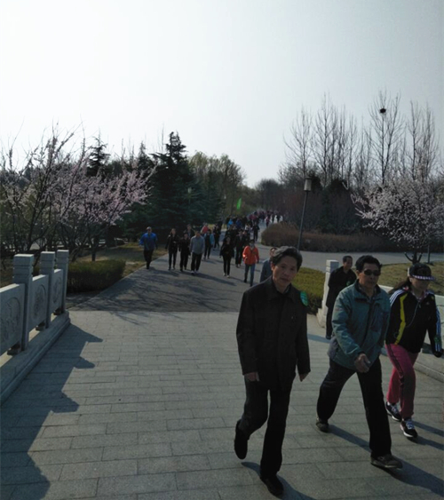 北京市残疾人联合会-大兴区林校路街道残联组织辖区内残疾人参加环湖走活动