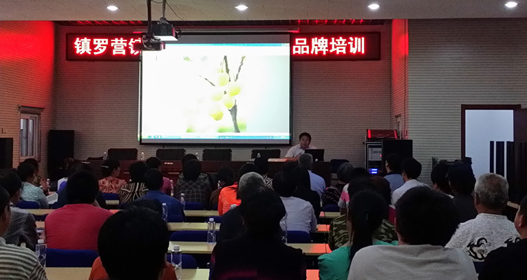 北京市残疾人联合会-平谷区镇罗营镇温馨家园举办特色品牌农家院培训