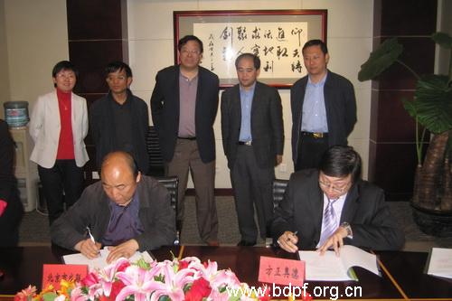 北京市残疾人联合会-网上申报审核系统建设正式启动
