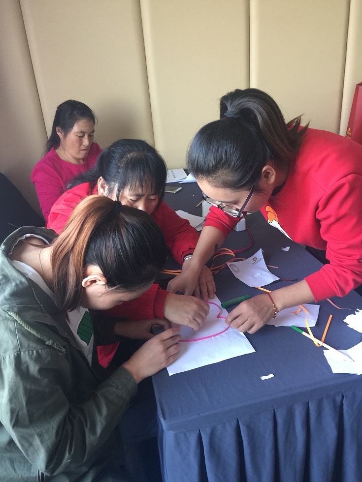 北京市残疾人联合会-市残疾人康复中心举办“脑瘫儿童引导式教育”培训班