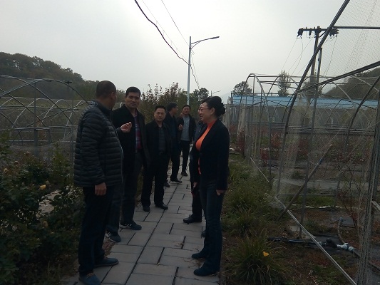 图为调研现场
