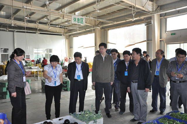 图为：调研组参观扶贫基地蔬菜包装车间